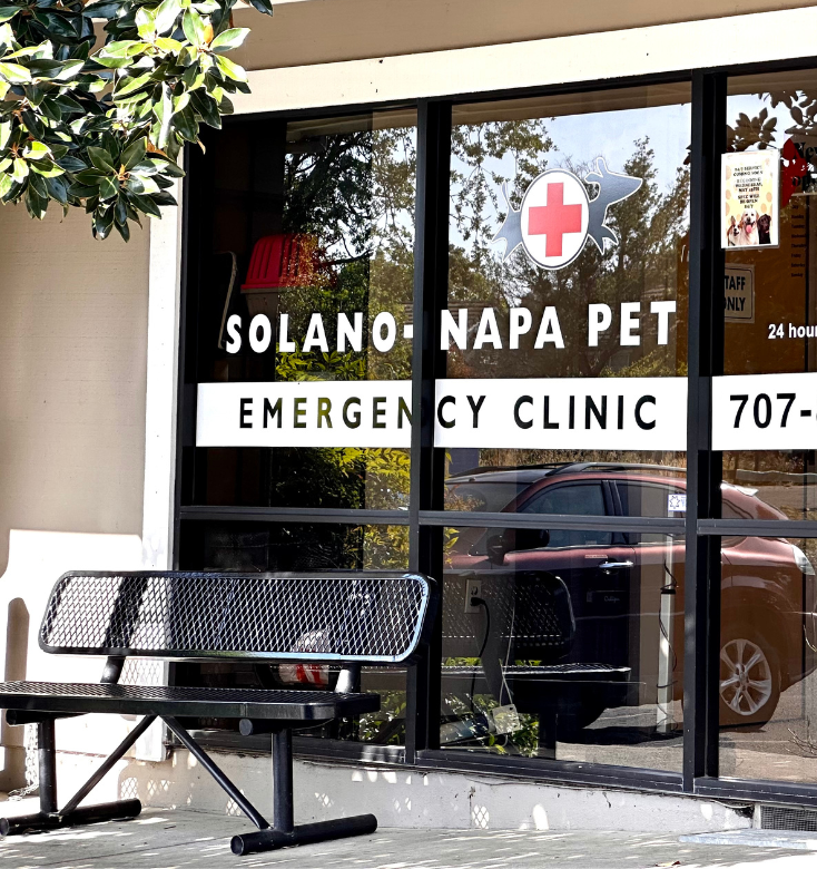 Solano Napa Pet Emergency Clinic